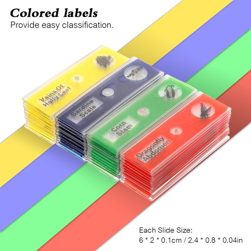 12x plastic prepared - 12x,