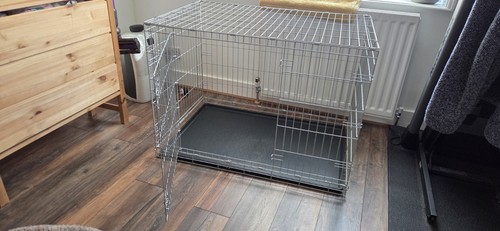 Large grey pets - grey, home