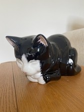 Large Black & White Just Cats