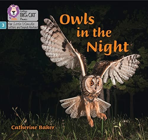 Owls the night phase 3 - in,