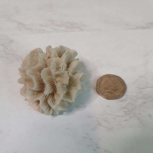 Vintage small piece natural - of,