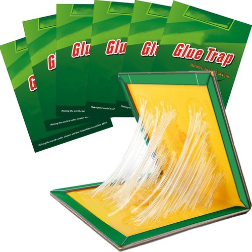 Pack pest trap boards large - 6,