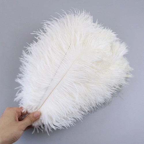 10pcs large ostrich feathers - large,