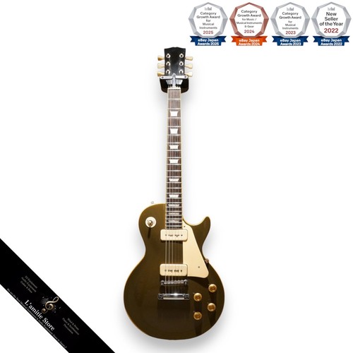 Aria pro ls600p - pro, electric