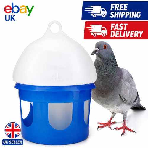 Automatic bird pigeons - pigeons, feeder