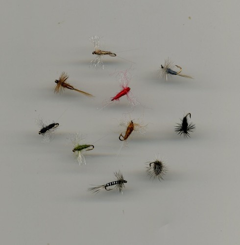 Trout flies dry - trout,