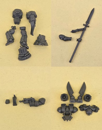 Sanguinary guard 2024 bits - -,