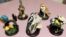 The Country Bird Collection: Kingfisher Robin Great Woodpecker Barn Owl Blue Tit