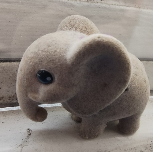 Jungle pocket elephant - my,