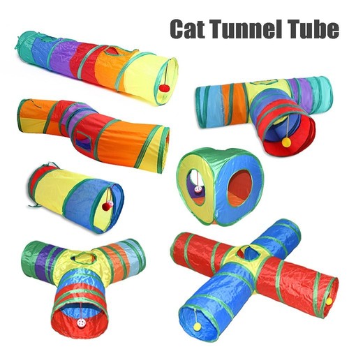 Small animals cat - cat, tunnel