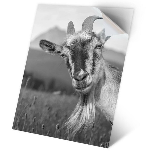 Vinyl sticker bw - 1,