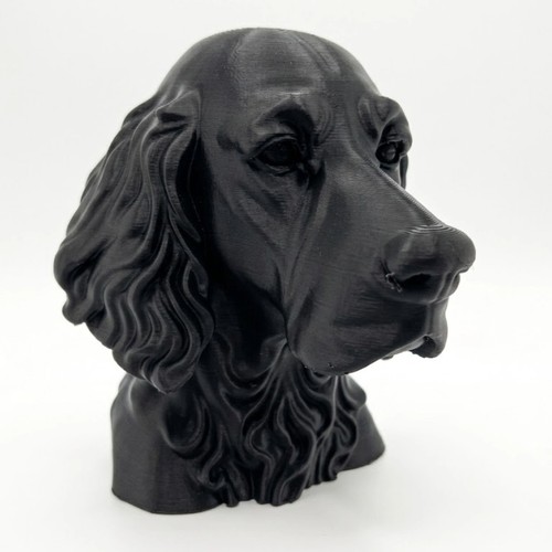 English setter dog bust home - setter,