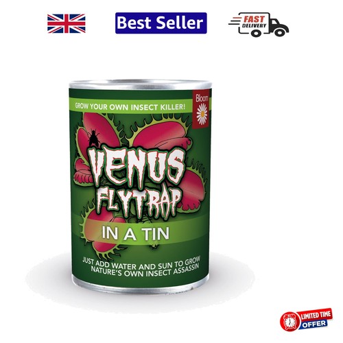 Sundew venus fly trap plant - fly,