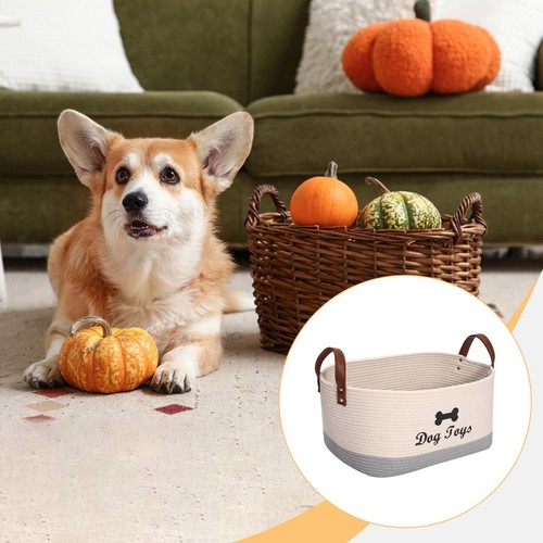 Dog toy storage - dog,