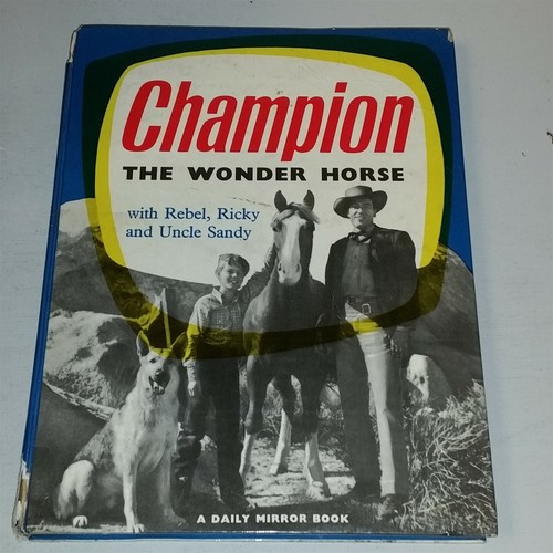 Champion the wonder - wonder, horse