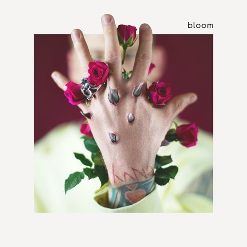 559133 machine gun kelly - 559133,