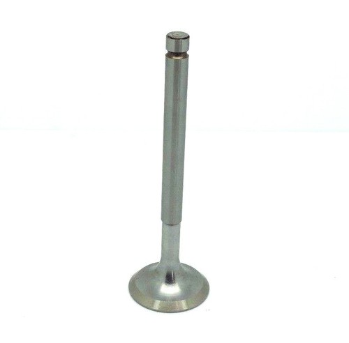 Inlet exhaust valve for - valve,