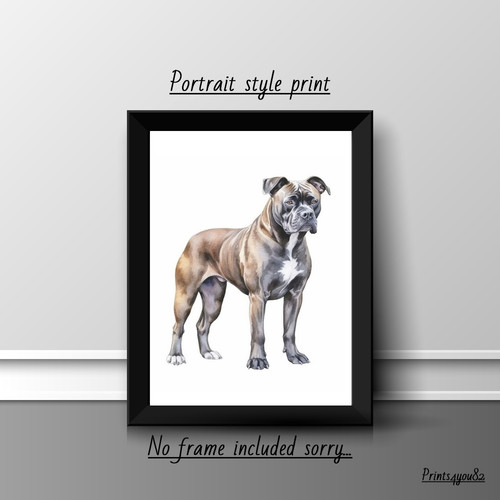 American staffordshire terrier - staffordshire,