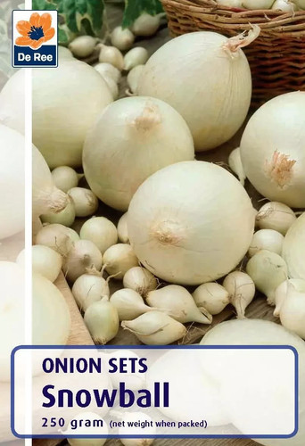 Onion sets many varieties - many,