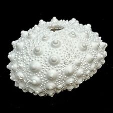 Resin white Sea urchin Sputnik