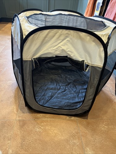 Pop puppy kitten play - pop, up