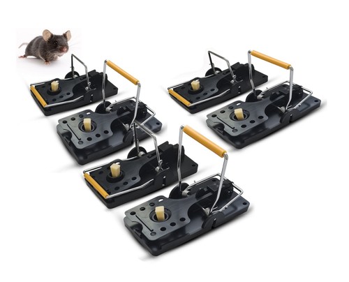 Pack mouse traps - pack,