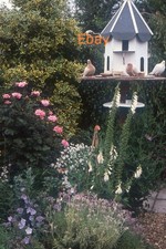35mm Slide - Doves In Dovecote