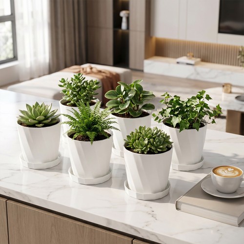 6pcs plant pots and saucers - plant,