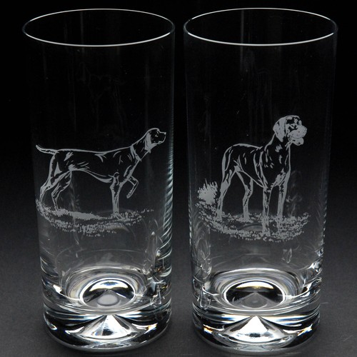 Hungarian vizsla dog highball - dog,