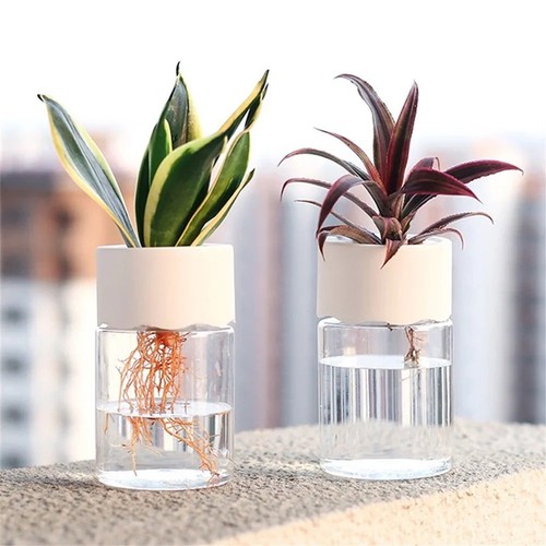 Mini hydroponic flower - mini,