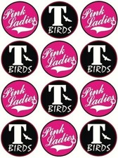24 Grease Pink Ladies T Birds