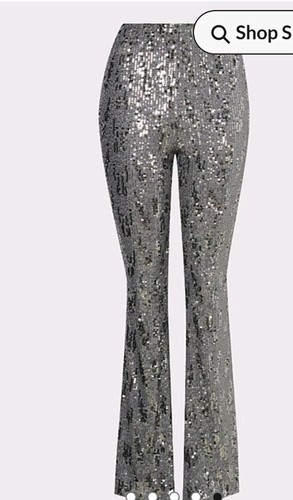 Nwt silver kick lined flare - nwt,