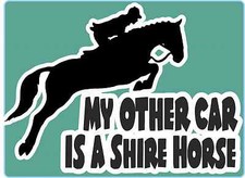 Horsebox Decal "My Other Car