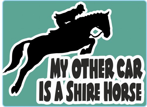 Horsebox decal other - horsebox,
