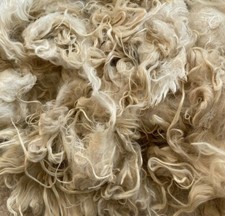 Suri 4-8" Alpaca V Fine Fleece