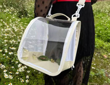 Outdoor Transparent Folding