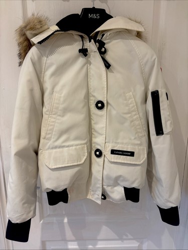 Canada goose chilliwack - canada,