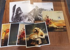 Wolfs Law The Joy Formidable -