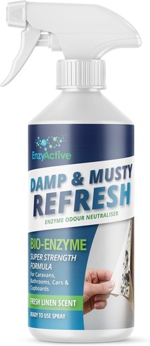 Enzyactive damp musty - damp,