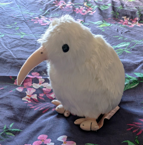 Realistic plush kiwi soft toy - plush,