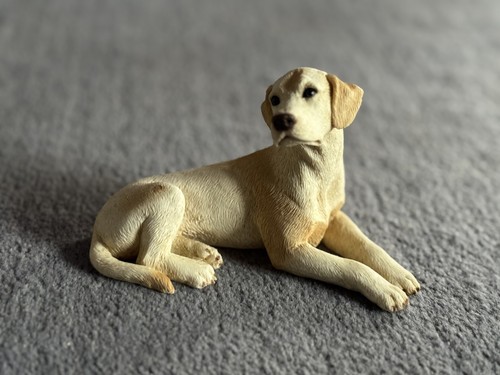 Castagna dog bundle - castagna,