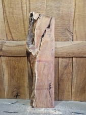 Live Edge Yew Slab (359)