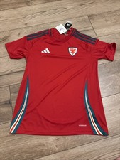 2024-25 Wales adidas Home