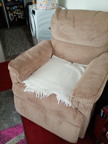 Electric recliner chair