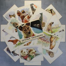 DOGS are man's best friends