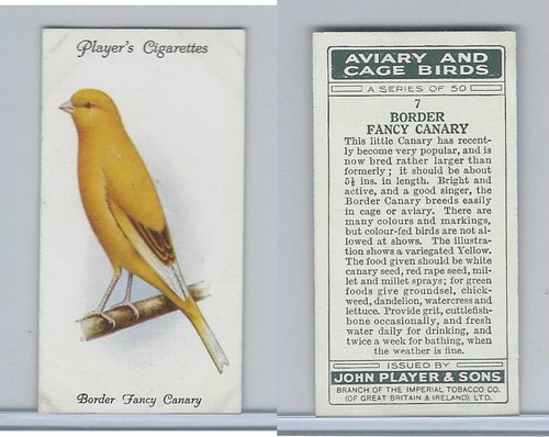 P72 player aviary - aviary, &