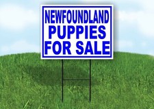Newfoundland PUPPIES FOR SALE