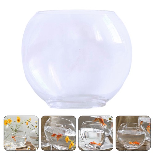 Household betta tank - household,