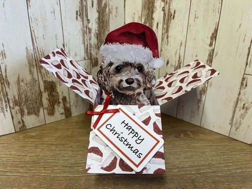 Christmas chocolate cockapoo - chocolate,