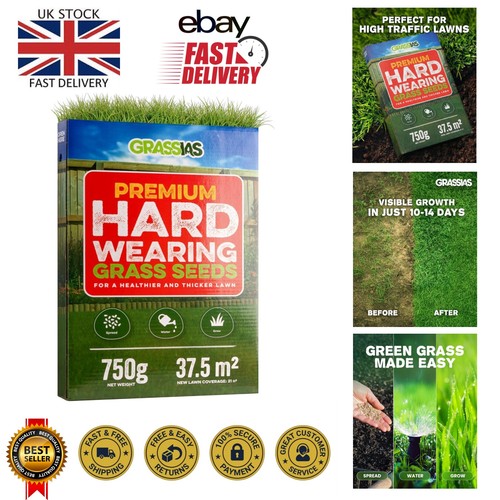 Heavy duty grass seed - grass,